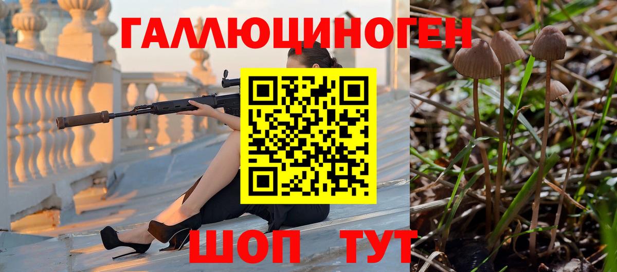 Псилоцибиновые грибы Cubensis  наркота  Звенигород  Галлюциногенные грибы MAGIC MUSHROOMS  Вход с VPN 
